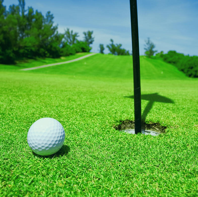 Artificial Golf Grass