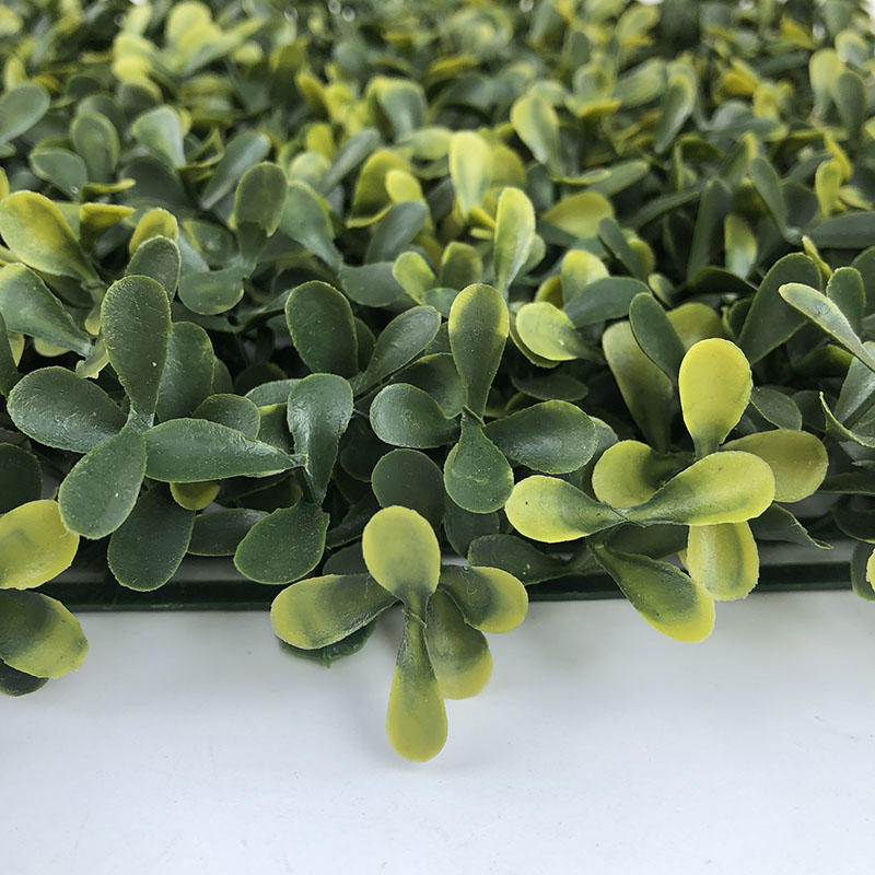 Eco-friendly Easy-to-install Decorative Artificial Boxwood Hedge For Wall